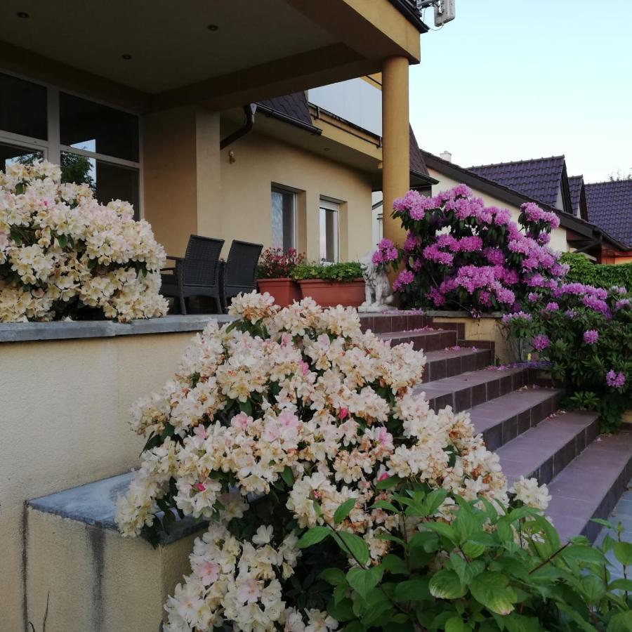 Rezident Consult S.R.O. Hotel Bratislava Exterior foto